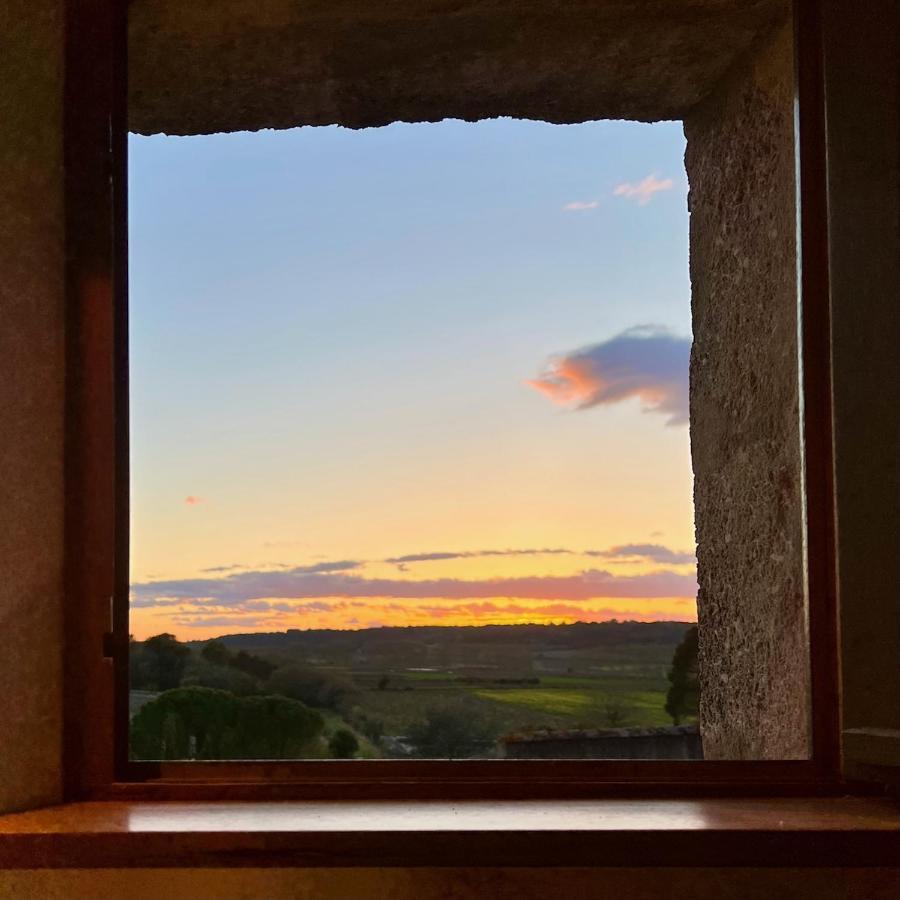 Proche Uzes Le Cocon Du Peintre Anglais Sagriès Extérieur photo